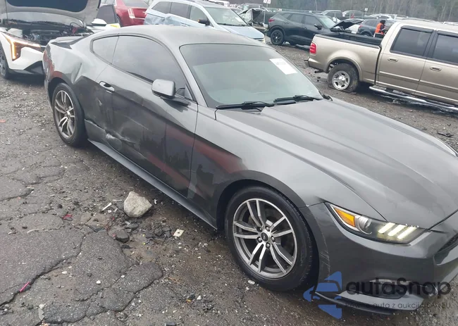 1FA6P8TH2F5385536: 44312620