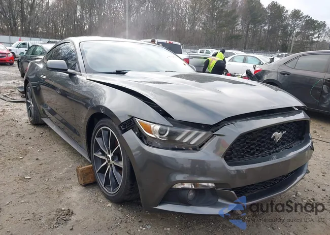 1FA6P8TH5G5227984: 44312683