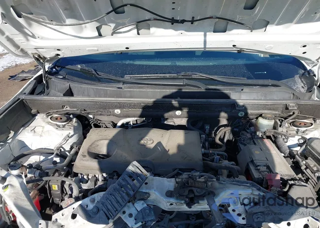 JTMF1RFV6KD012731: 44312795