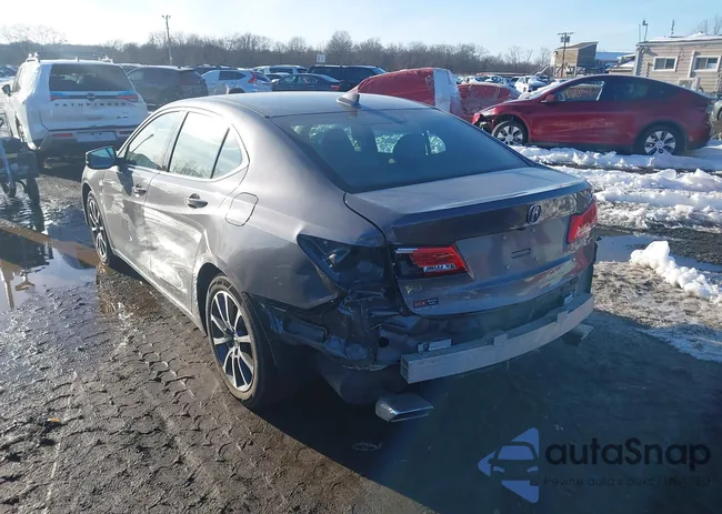 19UUB2F37KA005509: 44312947