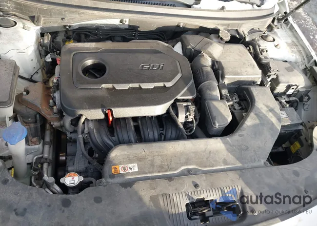 5NPE34AF8FH021312: 44314017