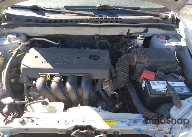 2T1BR32E86C651805: 44314043