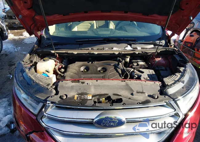 2FMTK4J93FBB40817: 44314091