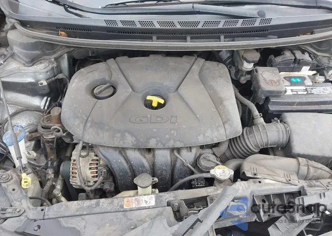 KNAFX5A82G550374S: 44314301