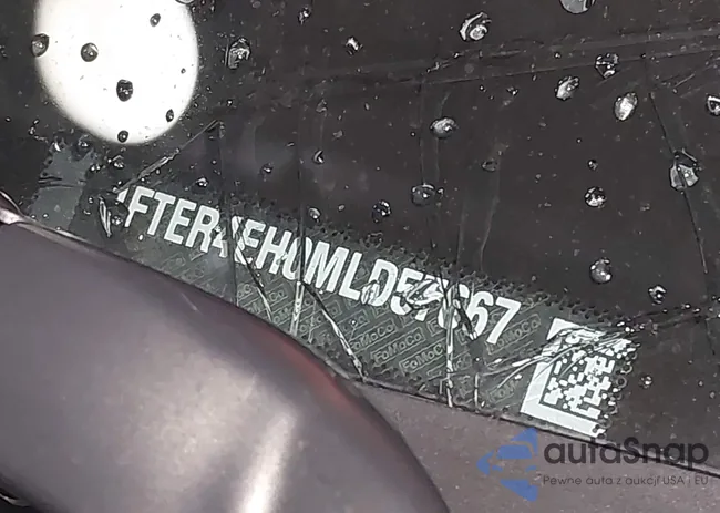 1FTER4EH0MLD57667: 44314339