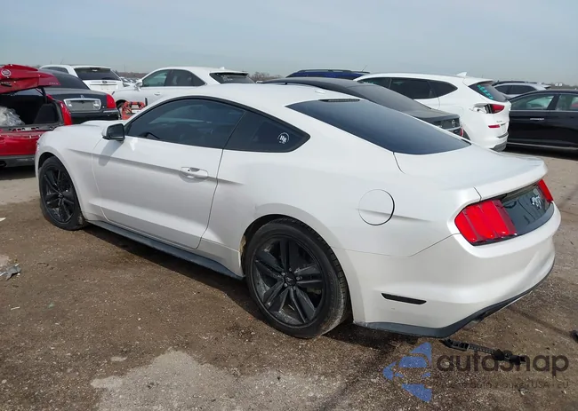 1FA6P8TH8H5294810: 44313620