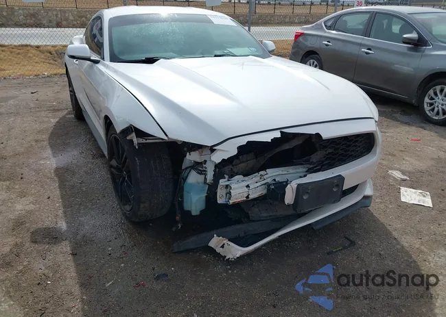 1FA6P8TH8H5294810: 44313620