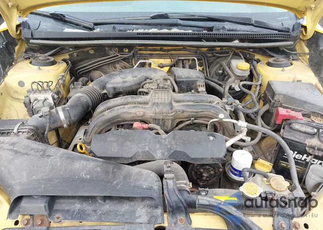 JF2GPADC3F8242801: 44313657