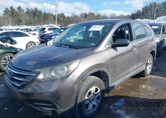 5J6RM4H34DL079978: 44315474