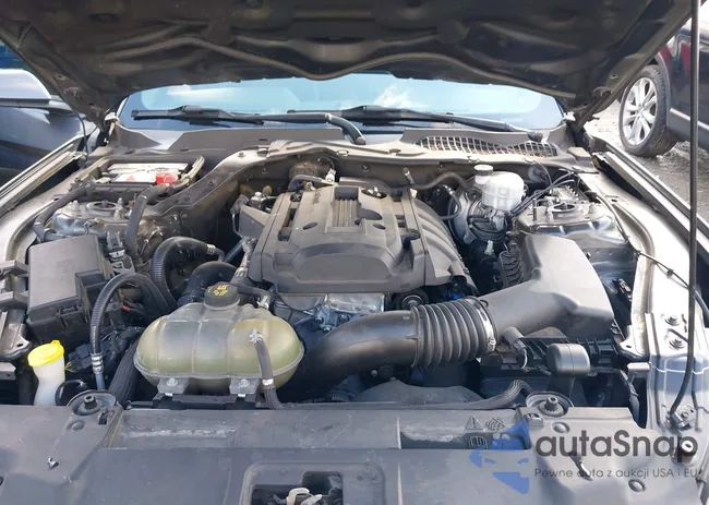 1FA6P8TH3J5112839: 44315535