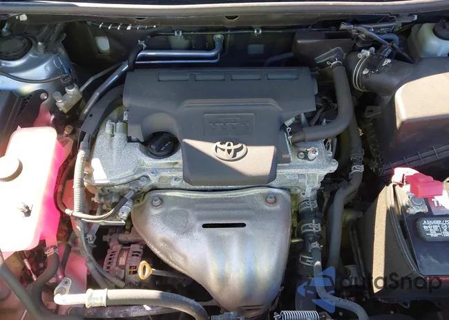 2T3RFREV5JW717389: 44314736