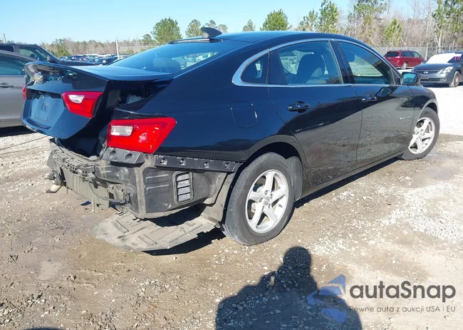 1G1ZB5ST7JF177948: 44314885