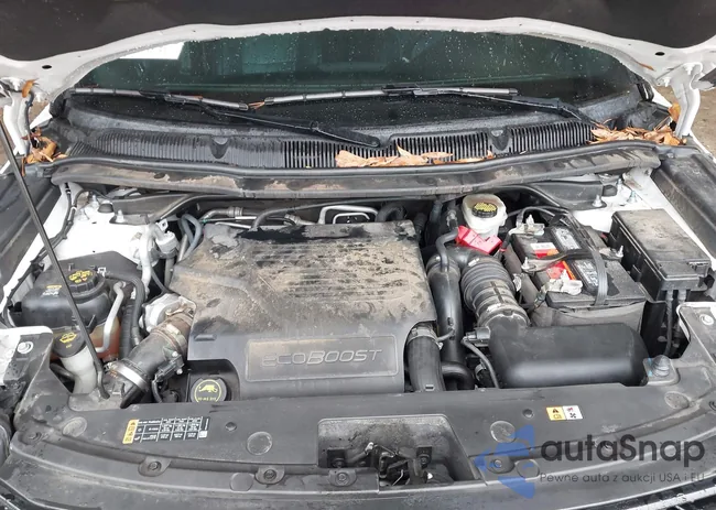 1FM5K8GT2GGD10355: 44314981