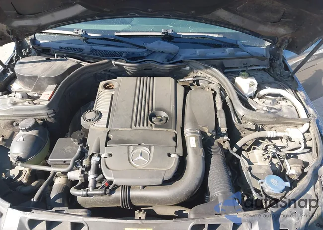 WDDGJ4HB2DF987251: 44316008