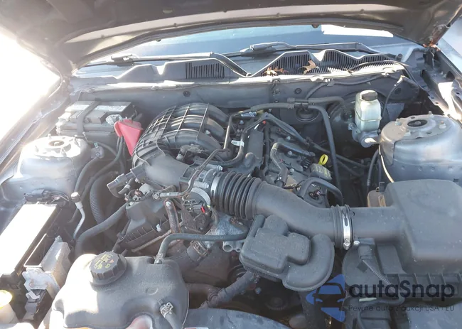 1ZVBP8AM1E5244509: 44316159