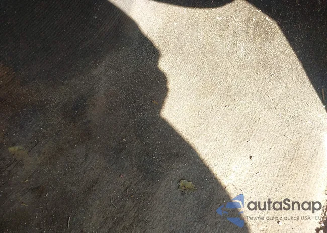 3GCRKSE3XAG106730: 44316293