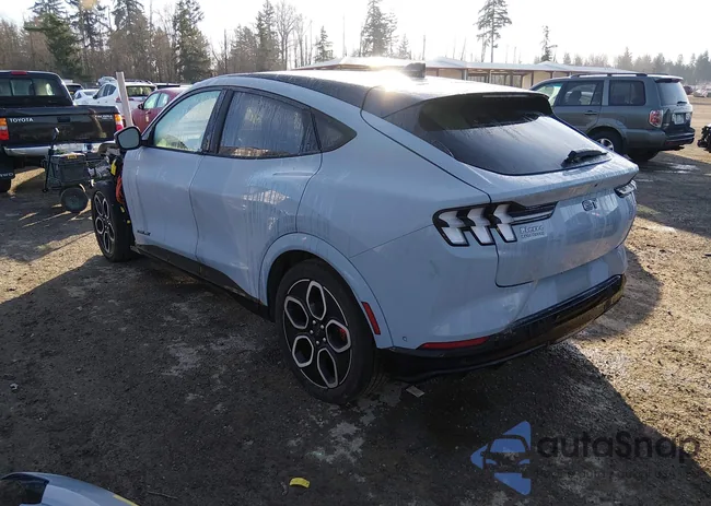 3FMTK4SX0RMA11871: 44316500