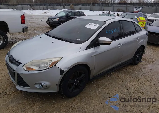 1FADP3F21DL231989: 44317061