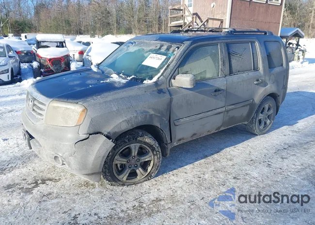 5FNYF4H51CB028341: 44317265