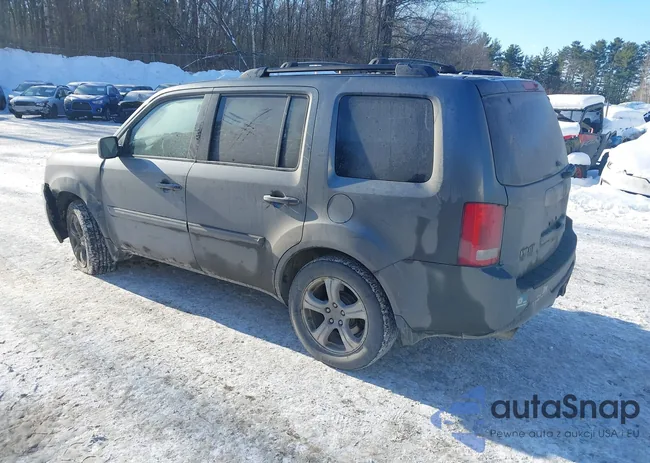 5FNYF4H51CB028341: 44317265