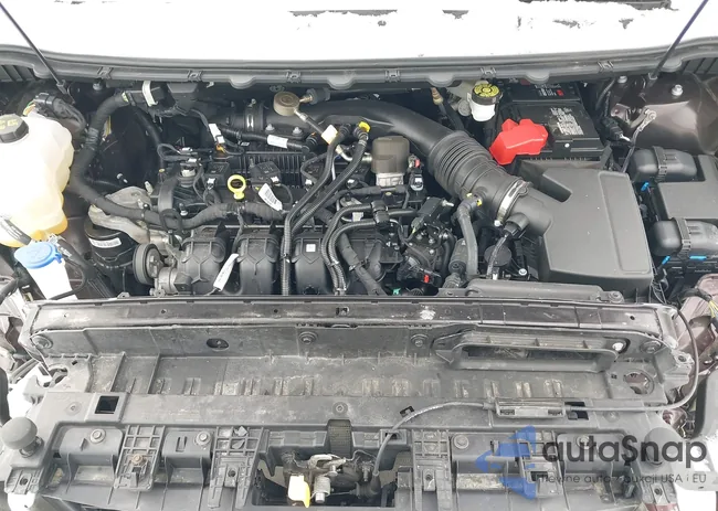 2FMPK4J9XNBA82365: 44317320