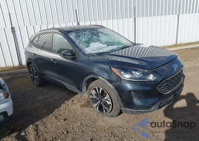 1FMCU0BZ5NUB10261: 44317381