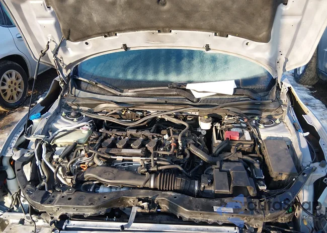 SHHFK7H30KU204909: 44317395