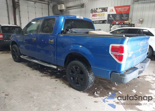 1FTFW1EF9BFD31462: 44317511