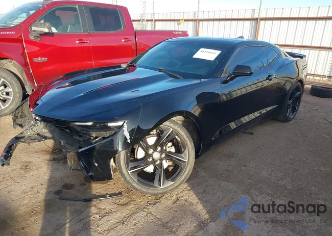 1G1FB1RS8K0123619: 44316616