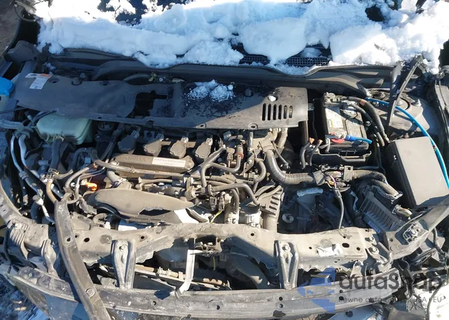 2HGFC1F75HH659843: 44316796