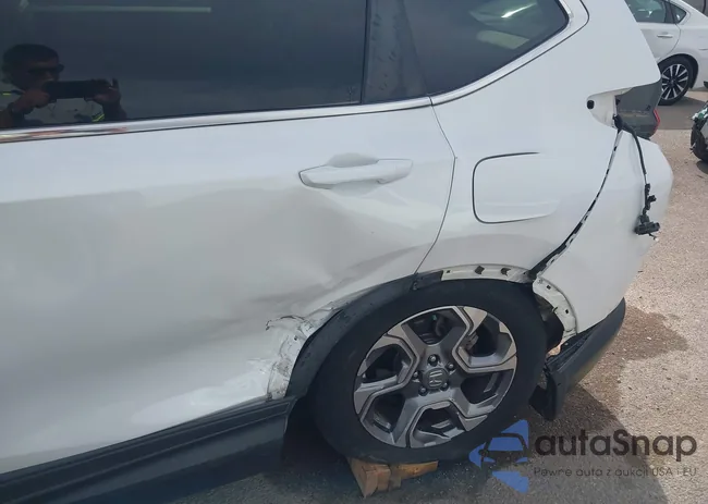 5J6RW2H81KA019451: 44317819