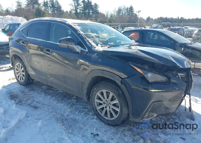 JTJBJRBZ8K2116704: 44319165