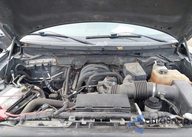 1FTEW1E81AFA90380: 44319514