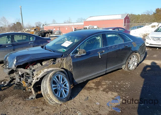 3LN6L2LUXER805891: 44319519