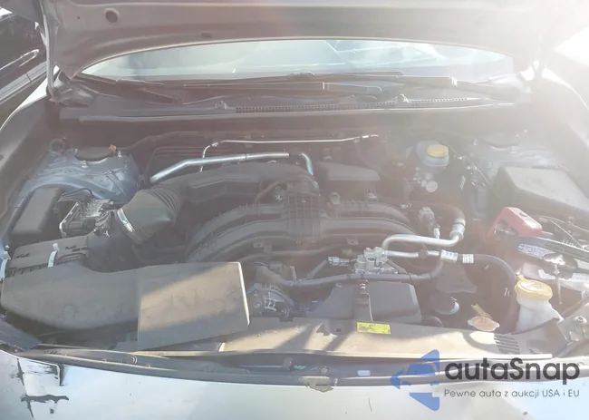 JF2GTAEC8M8259178: 44318719