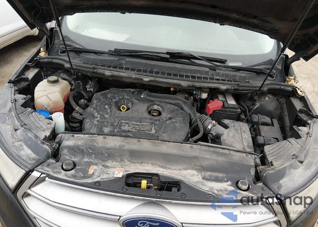 2FMPK4G96GBC31087: 44318722