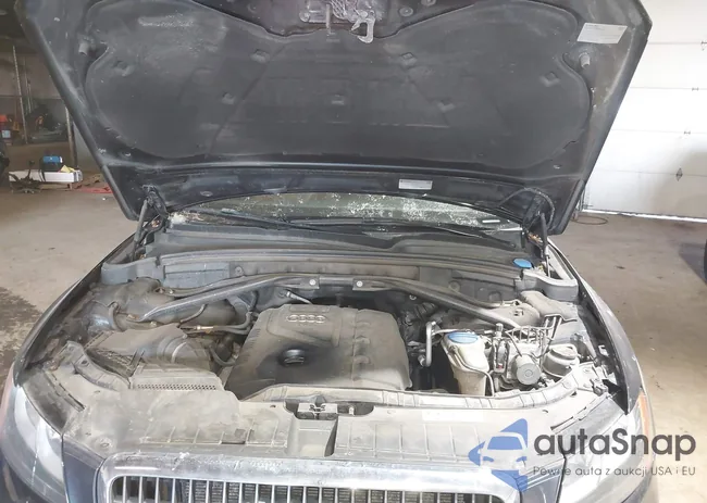 WA1CFAFP4CA024896: 44318946