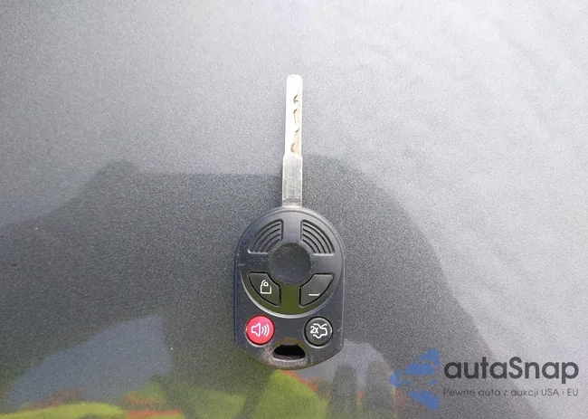 1FADP3F23JL315503: 44320234