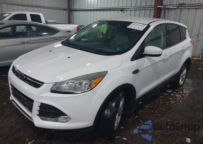 1FMCU0G70GUA04892: 44320312