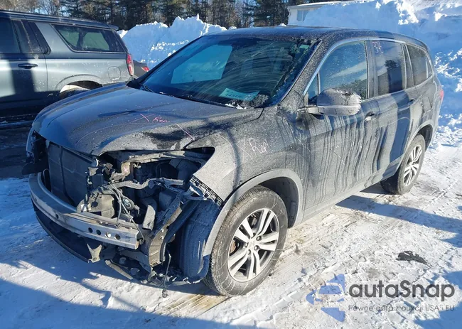 5FNYF6H77HB028493: 44319774