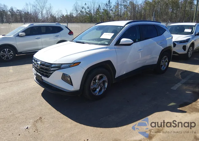 5NMJB3DE9RH359155: 44319842