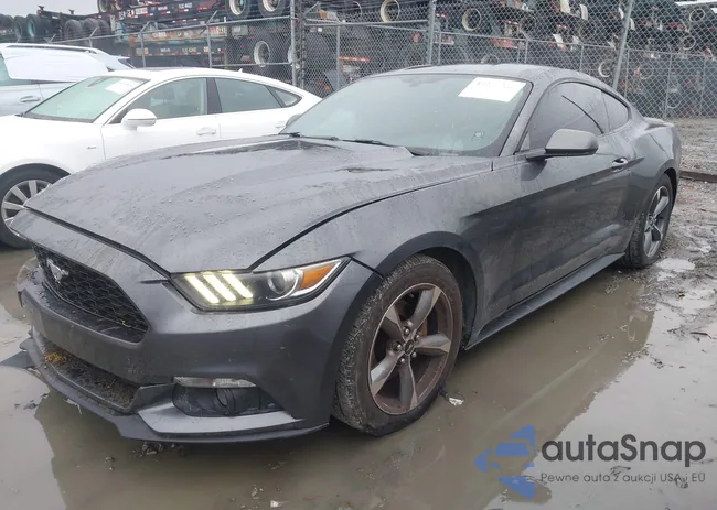 1FA6P8AM5F5406606: 44319930