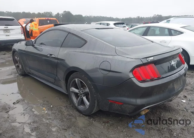 1FA6P8AM5F5406606: 44319930