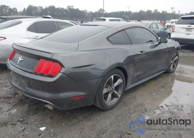 1FA6P8AM5F5406606: 44319930