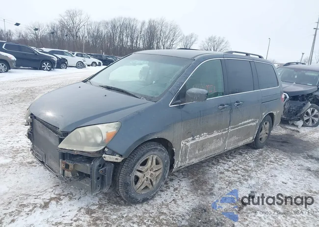 5FNRL38406B419466: 44319952