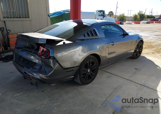 1ZVBP8AM5E5233206: 44322136