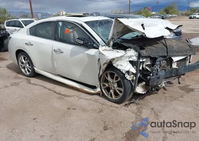 1N4AA5APXDC829579: 44321811