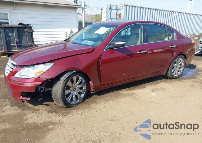 KMHGC4DE3BU116710: 44323239