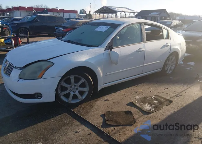 1N4BA41E17C852556: 44323257