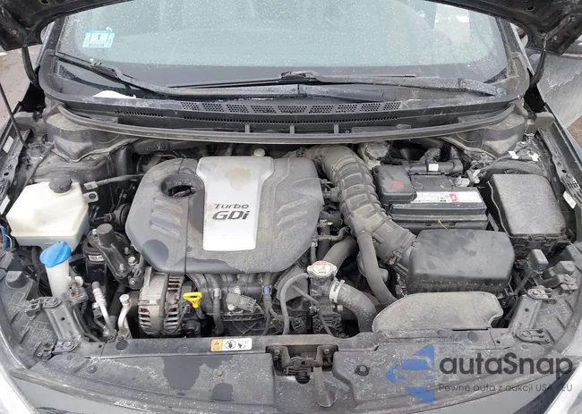 KNAFZ5A37G5561036: 44324363